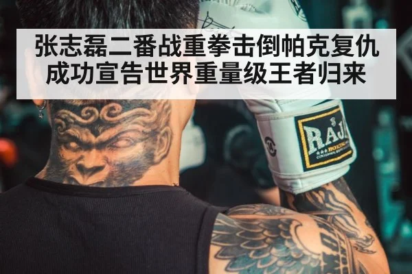 张志磊二番战重拳击倒帕克复仇成功宣告世界重量级王者归来