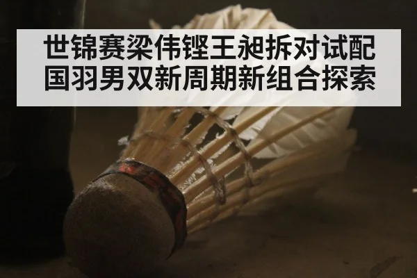 世锦赛梁伟铿王昶拆对试配 国羽男双新周期新组合探索