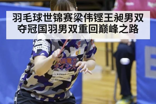 羽毛球世锦赛梁伟铿王昶男双夺冠国羽男双重回巅峰之路